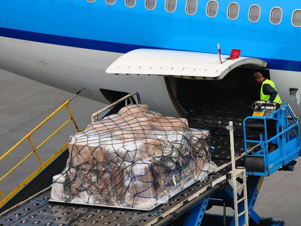 Air Cargo Handling | CFS