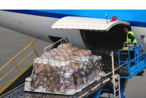 Commercial Freight Service - air cargo handling
