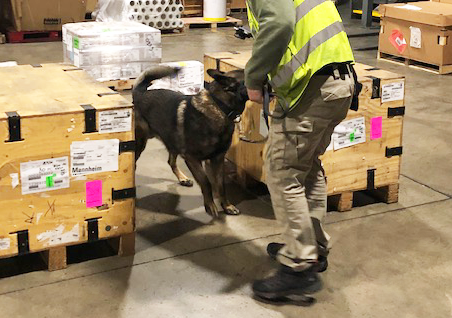 CFS | K9 team screening crated cargo