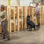 K9 all-cargo screening in Detroit – are you ready?