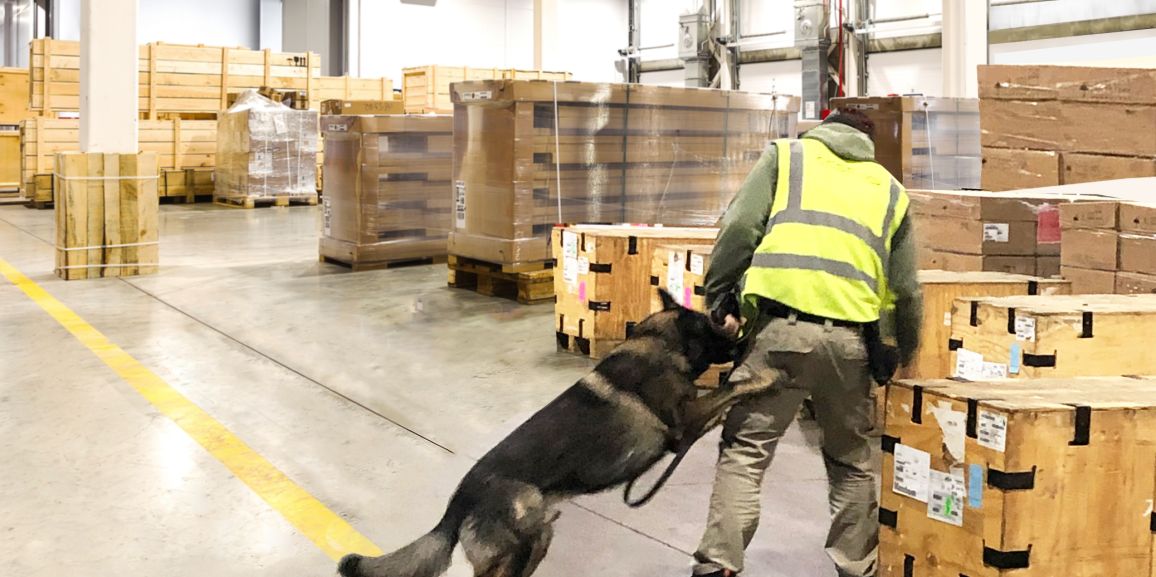 Commercial Freight Services Certified for TSA Third-Party Canine Cargo Screening